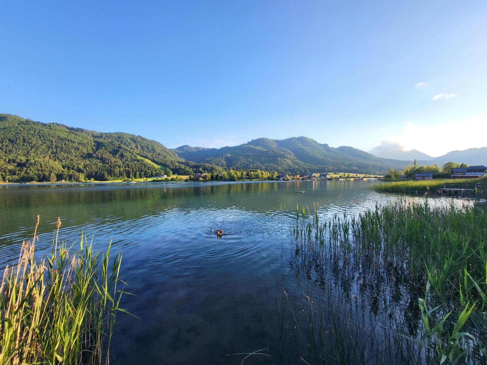 Haus Lackner Am Weissensee In Kaernten Exteriör bild